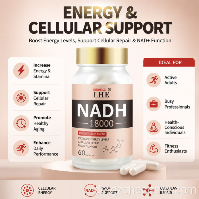 Shecome NADH-Kapseln Cellular Energy NAD+-Unterstützung